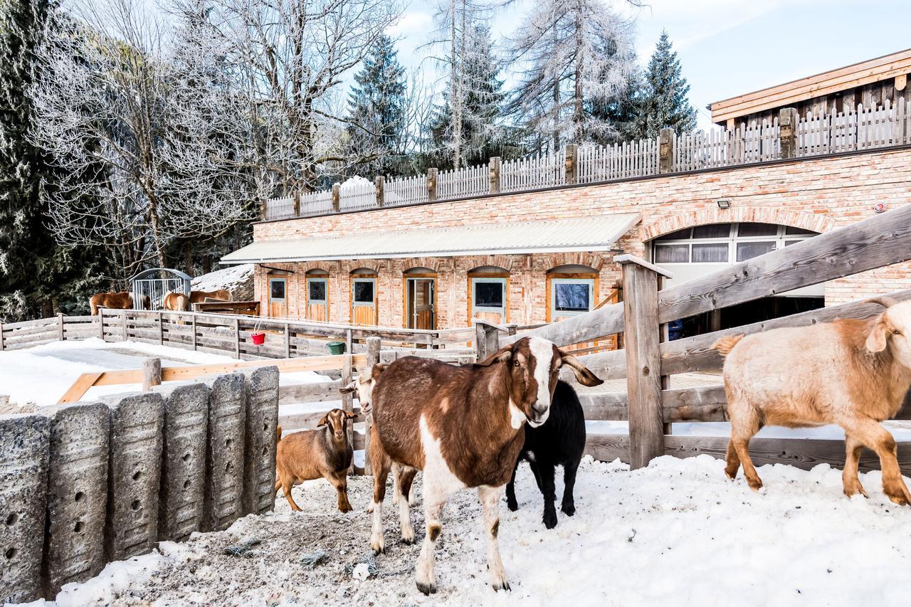Peakini Farmhaus Untertauern Exterior foto